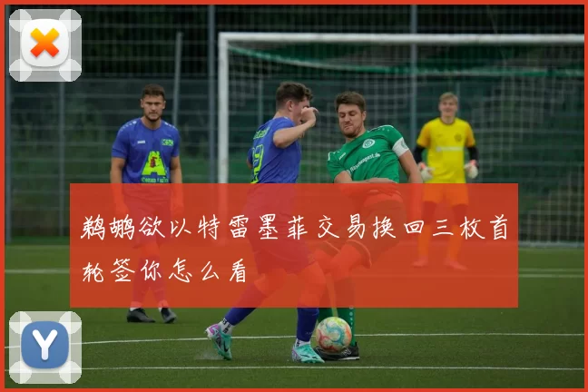 鹈鹕欲以特雷墨菲交易换回三枚首轮签你怎么看